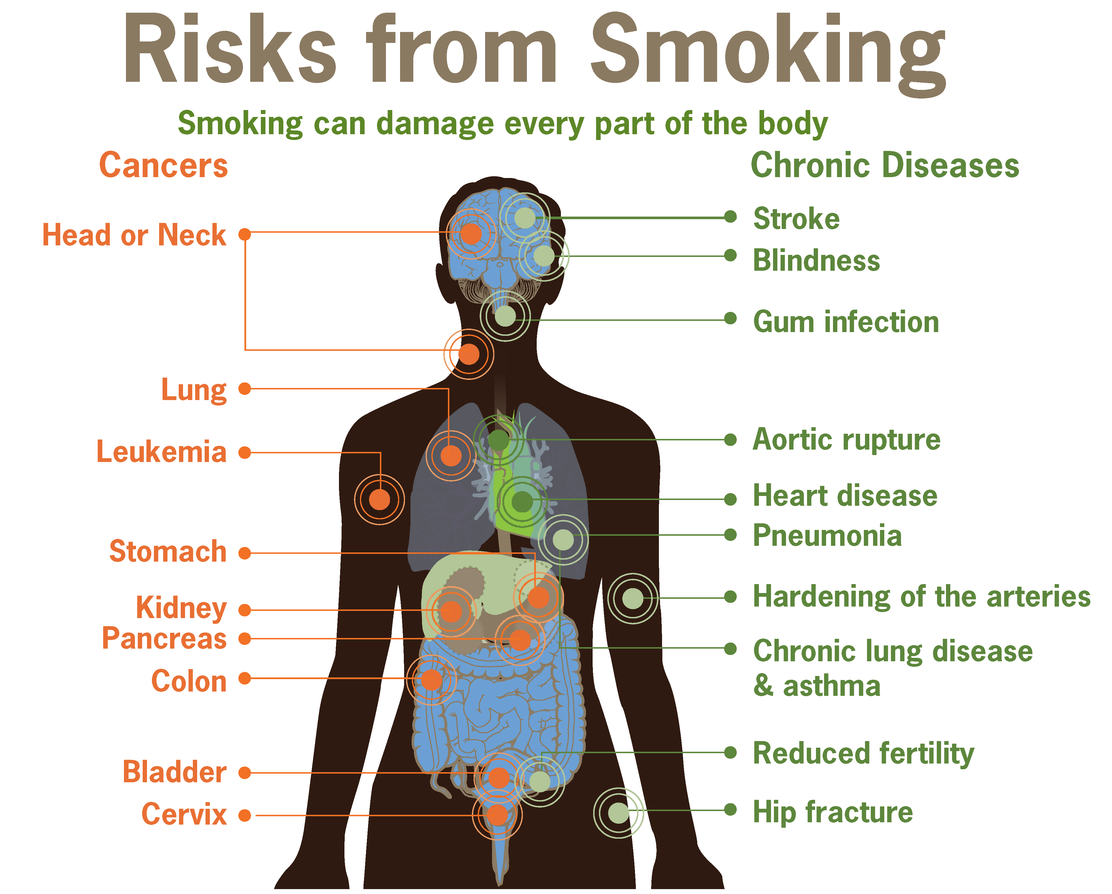 Health Risks of Tobacco